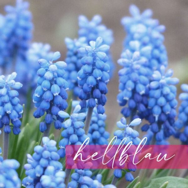 blind date naehexperiment_hellblau blind date naehexperiment_hellblau