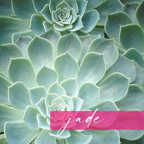 blind date naehexperiment_jade blind date naehexperiment_jade