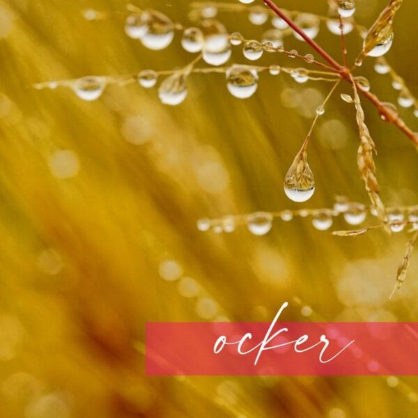 blind date naehexperiment_ocker blind date naehexperiment_ocker