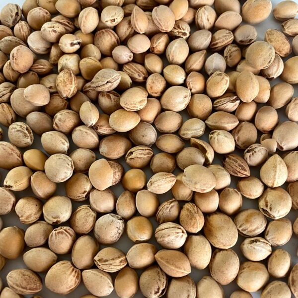 Kirschkernkissen4 Kirschkernkissen4